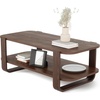 image:imageUmbra Bellwood Coffee Table with Storage NaturalAged Walnut