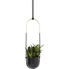 image:imageUmbra Bolo Hanging Planter for Succulents Herbs and Other Small Plants Single WhiteBrassBlack
