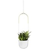 image:imageUmbra Bolo Hanging Planter for Succulents Herbs and Other Small Plants Single WhiteBrassWhite