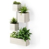 image:imageUmbra Cubiko Wall Planter with 4 Lightweight and Durable Pots BlackSand