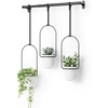 image:imageUmbra Triflora Hanging Planter Indoor Herb Garden Set of 3 WhiteBlack  Extendable metal rod adjustable rope lengths fits standard pots wall or ceiling mount holds 15 lbs recycled plasticWhiteBlack