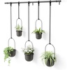 image:imageUmbra Triflora Hanging Planter Indoor Herb Garden Set of 3 WhiteBlack  Extendable metal rod adjustable rope lengths fits standard pots wall or ceiling mount holds 15 lbs recycled plasticBlackBlack