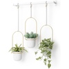 image:imageUmbra Triflora Hanging Planter Indoor Herb Garden Set of 3 WhiteBrass  Extendable metal rod adjustable rope lengths fits standard pots wall or ceiling mount holds 15 lbs recycled plasticWhiteBrass