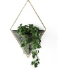 image:imageUmbra Trigg Hanging Planter Vase Wall Decor Set of 2 Pots Containers for Succulents Cactus Faux Plants and More Small WhiteNickelBlackBrass