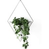image:imageUmbra Trigg Hanging Planter Vase Wall Decor Set of 2 Pots Containers for Succulents Cactus Faux Plants and More Small WhiteNickelWhiteNickel
