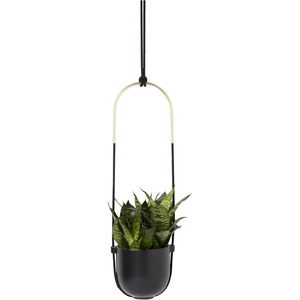 image:imageUmbra Bolo Hanging Planter for Succulents Herbs and Other Small Plants Single WhiteBrassBlack