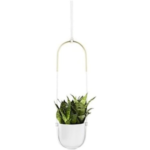 image:imageUmbra Bolo Hanging Planter for Succulents Herbs and Other Small Plants Single WhiteBrassWhite