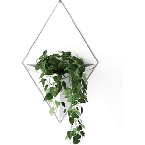 image:imageUmbra Trigg Hanging Planter Vase Wall Decor Set of 2 Pots Containers for Succulents Cactus Faux Plants and More Small WhiteNickelWhiteNickel
