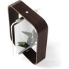 image:imageUmbra Bellwood 5x7 Desk Picture Frame with Bent Wood Trim and TwoSided Rotating Display Natural  Beech wood 360 degree pivot two photo display portrait or landscape wipe cleanAged Walnut