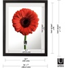 image:imageUmbra Document Frame  13x16 Picture Frame Floating Frame for Displaying 11x14 Document Diploma Certificate Photo or Artwork Black13 x 16