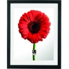 image:imageUmbra Document Frame  13x16 Picture Frame Floating Frame for Displaying 11x14 Document Diploma Certificate Photo or Artwork Black13 x 16 Pack of 2