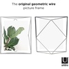 image:imageUmbra Prisma Picture Frame Floating Metal Wall Mount 5x7 Brass  Steel wire construction unique geometric shape displays photo between glass desk or tabletop use hardware includedcromado