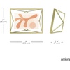 image:imageUmbra Prisma Picture Frame Floating Metal Wall Mount 5x7 Brass  Steel wire construction unique geometric shape displays photo between glass desk or tabletop use hardware includedBrass