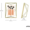 image:imageUmbra Prisma Picture Frame Floating Metal Wall Mount 5x7 Brass  Steel wire construction unique geometric shape displays photo between glass desk or tabletop use hardware includedBrass