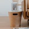 image:imageUmbra Prisma Picture Frame Floating Metal Wall Mount 5x7 Brass  Steel wire construction unique geometric shape displays photo between glass desk or tabletop use hardware includedcromado
