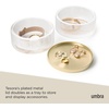 image:imageUmbra Tesora JewelryGlassBrass
