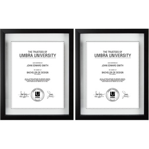 image:imageUmbra Document Frame  13x16 Picture Frame Floating Frame for Displaying 11x14 Document Diploma Certificate Photo or Artwork Black13 x 16 Pack of 2