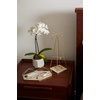image:imageUmbra Prisma Jewelry Stand and Necklace Holder Matte BrassBrass