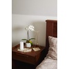 image:imageUmbra Prisma Jewelry Stand and Necklace Holder Matte BrassBrass