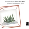 image:imageUmbra Prisma 4x6 Picture Frame Metal Floating Wall or Desk Photo Display for Pictures Art Illustrations and More Copper