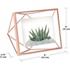 image:imageUmbra Prisma 4x6 Picture Frame Metal Floating Wall or Desk Photo Display for Pictures Art Illustrations and More Copper