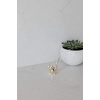 image:imageUmbra Zoola Frenchie Dog Chrome Ring HolderBrass