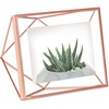 image:imageUmbra Prisma 4x6 Picture Frame Metal Floating Wall or Desk Photo Display for Pictures Art Illustrations and More Copper