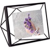 image:imageUmbra Prisma Picture Frame Floating Metal Wall Mount 4x6 Black  Steel wire construction unique geometric shape displays photo between glass desk or tabletop use hardware included