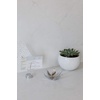 image:imageUmbra Magnolia Ring Dish ChromeChrome